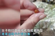 意外发现：吃海鲜差点儿咬到宝贝，价值5万的海螺珠竟藏身其中！