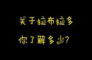 拉布拉多犬的优点和缺点，你了解多少？