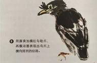 轻松掌握国画八哥的绘画技巧