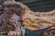 广西男子创作的15米根雕雄狮，富商出价300万被拒绝，如今被遗弃