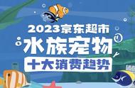 大数据揭秘：水族宠物消费新趋势，“丑”系水宠成为热门选择