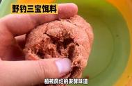 钓鱼必备三宝：饵料篇