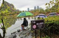 钓鱼爱好者为何遭人白眼？避免这四种不文明行为，让你的钓鱼之旅更愉快！