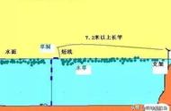 传统钓法的魅力：为何如此吸引人？