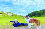 宠物经济崛起：驯犬服务与旅拍套餐引领市场新潮流