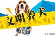 信阳养犬新规：不牵绳将被严厉处罚！