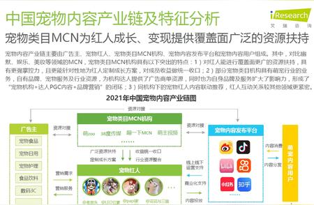 中国宠物产业深度剖析：内容与产业链的融合