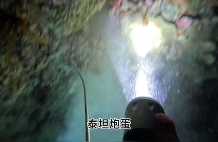 深海探秘：潜水捕鱼者的日常实录