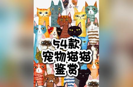 54款萌宠猫咪盘点：哪款最得你心？