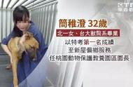 宠物安乐死：生命的沉重代价与大众认知的觉醒