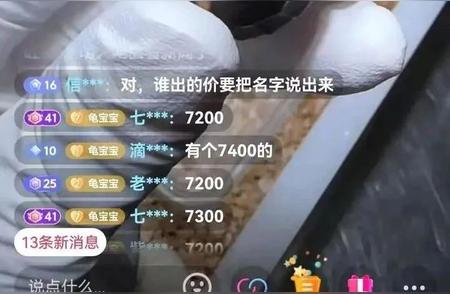 黄缘独特魅力：降价潮中的逆势崛起