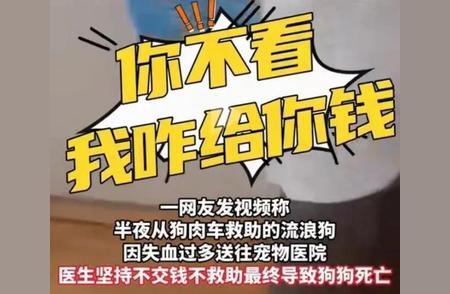 女子救流浪狗遭遇冷漠宠物医生，引发网友热议！