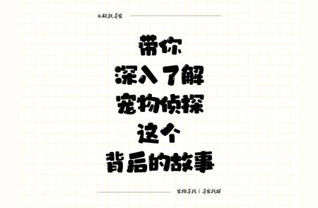 揭秘宠物侦探的高效寻宠技巧：带你深入了解宠物寻找团队