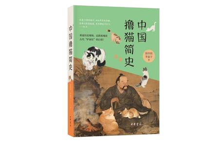 猫与书的神秘纽带：一次不可思议的相遇