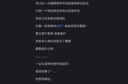 探索警犬的秘密：为何德国牧羊犬占据主导地位？