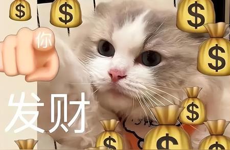 招财猫特征揭秘：拥有这些特征的猫咪可能带来好运！