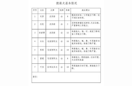 上海狗狗领养热潮：7只萌宠等你来领！