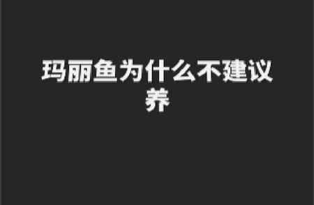 玛丽鱼：为什么专家不建议养？