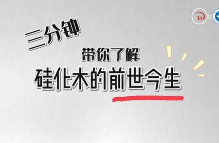 探索神秘的森林秘密：揭秘亿万年前的传奇故事