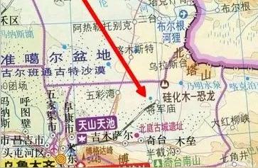 新疆奇台硅化木园：探寻化石森林的神秘之旅