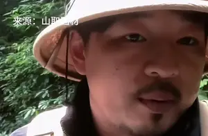 哀牢山的神秘面纱：探索未知的自然奇观