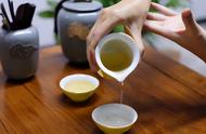 红茶、绿茶、青茶、黑茶：它们之间的差异究竟有多大？