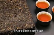 黑茶的专业审评术语：全面解读