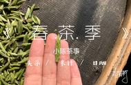 你真的了解白茶吗？探索白毫银针、白牡丹和寿眉的真相