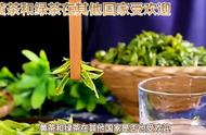 黄茶和绿茶在全球的受欢迎程度如何？