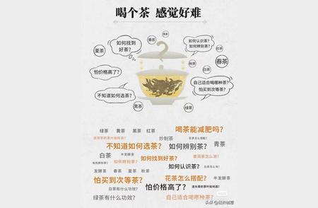 茶道之旅：从“品茗新手”到“茶艺大师”