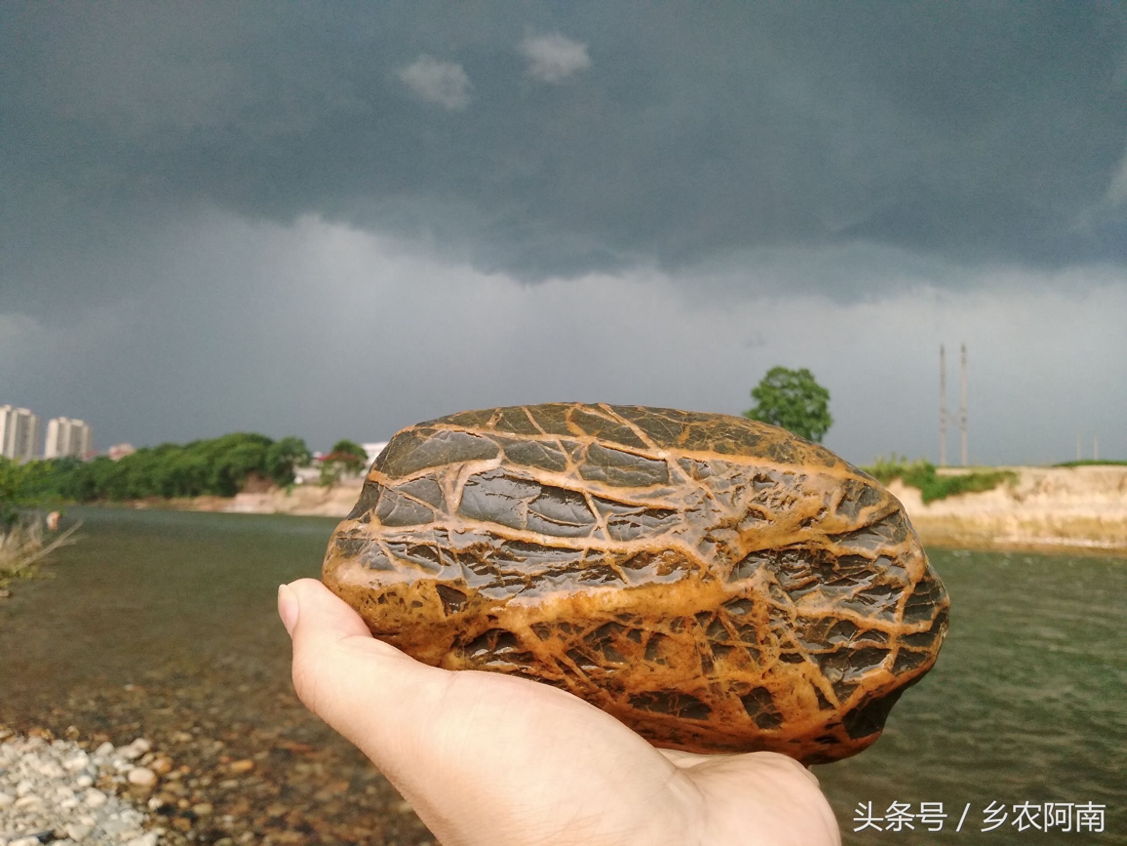 去茶陵的洣江河里游泳，没想到河里有很多奇石，随手捡了几个，你看有黄蜡石，金纹石，乌金石，还满好看的