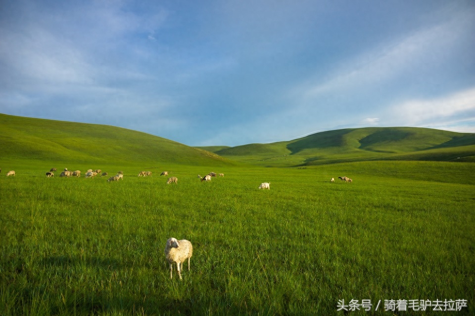 中国十大旅游目的地，你去过哪个？